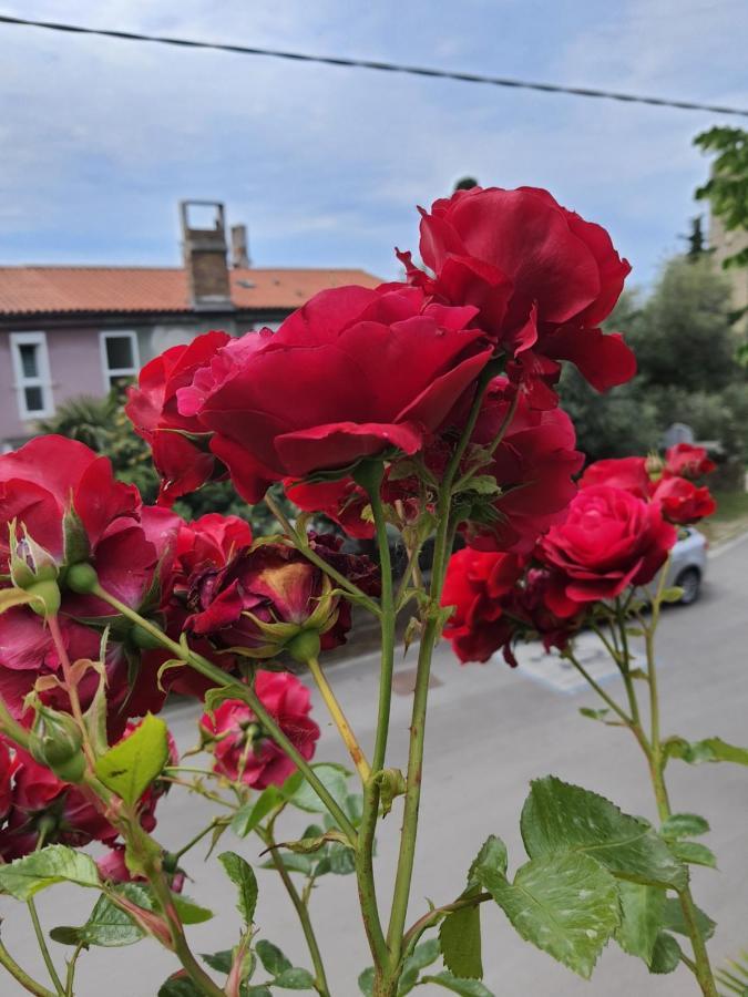 Apartmaji, Sobe - Obzidje Hotel Piran Eksteriør billede
